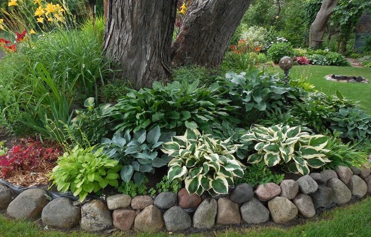 How to Do Landscaping Around Trees With Rocks? 12 Interesting Ideas For Landscaping Around Trees With Rocks: