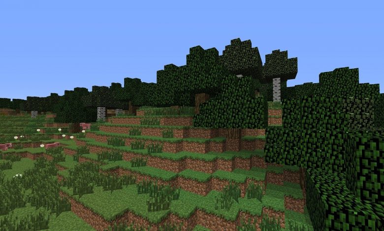 What is Seagrass in Minecraft? And How to Get Seagrass in Minecraft: A Definitive Guide