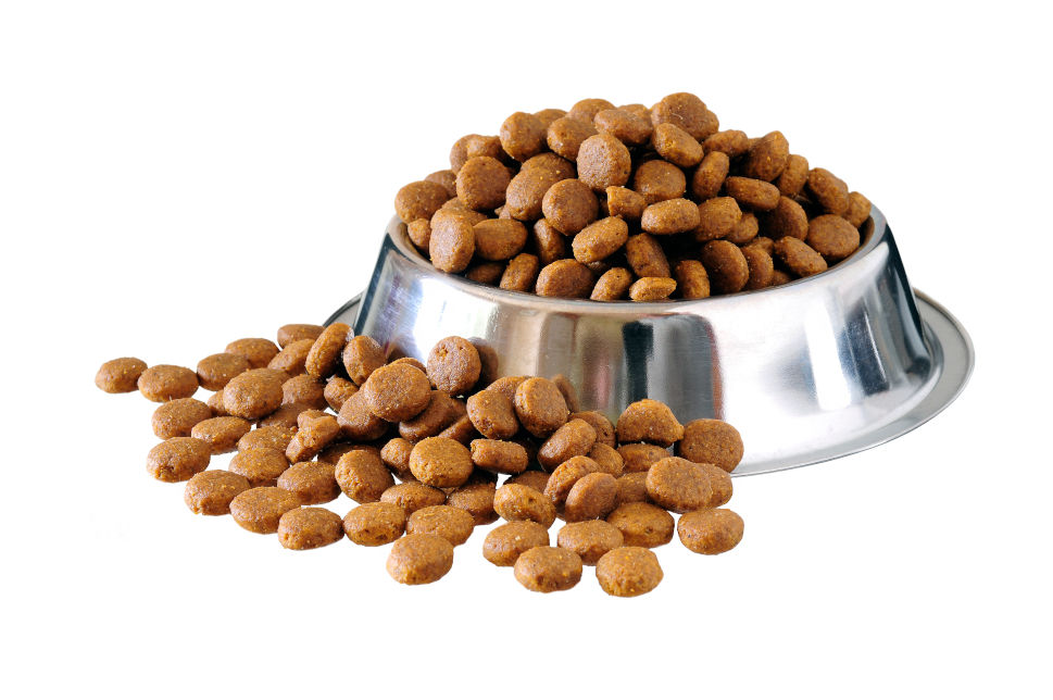 best-fresh-dog-food-brands-2023-dogfoodadvisor-eduaspirant