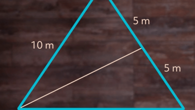 What is centroid?