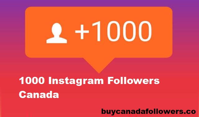 1000 Instagram Followers Cheat