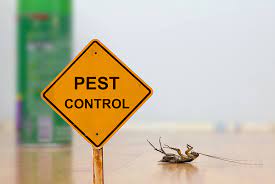 The Best Advice On Pest Control How To Trained Professional