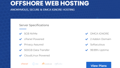 DMCA Ignored Hosting – Anonymous VPS – Offshore Web Hosting