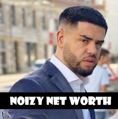 noizy net worth