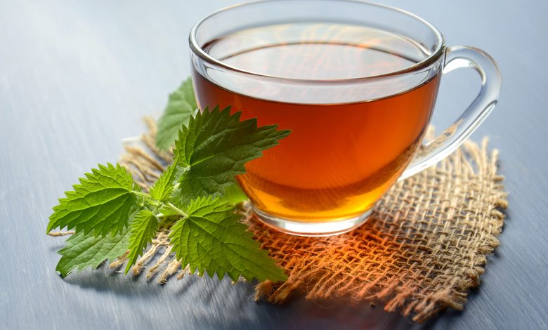 Manglier Tea Health Benefits