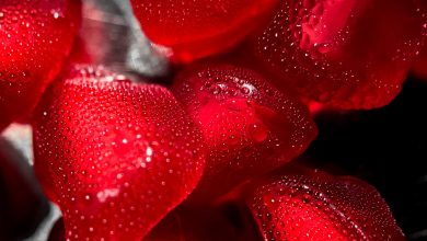 Pomegranate Collagen Jelly Stick Benefits
