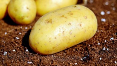 Potatoes